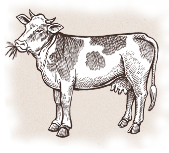 White Oak Pastures Grass-Fed Beef