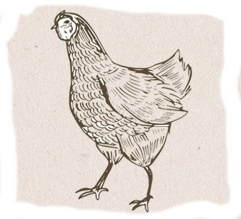 Farm Brand All Natural Chicken