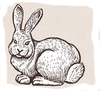 Farm Brand All Natural Rabbit